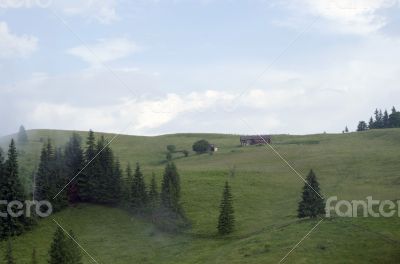 evening mountain plateau landscape (Carpathian, Ukraine) 