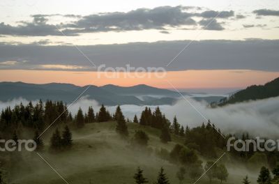 evening mountain plateau landscape (Carpathian, Ukraine) 