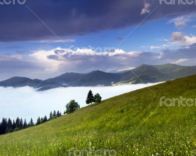 evening mountain plateau landscape (Carpathian, Ukraine) 