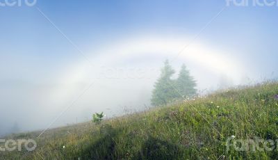 evening mountain plateau landscape (Carpathian, Ukraine) 