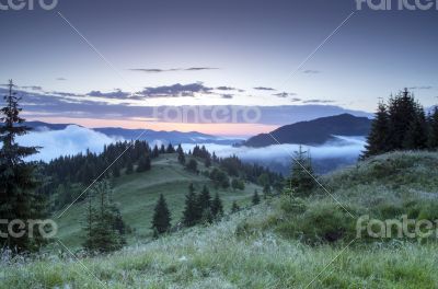 evening mountain plateau landscape (Carpathian, Ukraine)