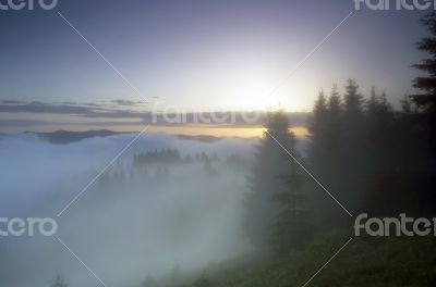 evening mountain plateau landscape (Carpathian, Ukraine)