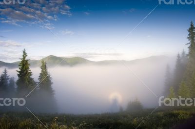 evening mountain plateau landscape (Carpathian, Ukraine)