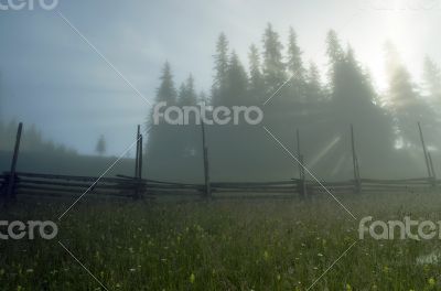 evening mountain plateau landscape (Carpathian, Ukraine)