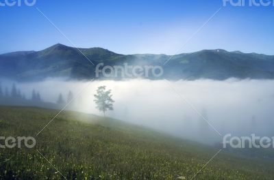 evening mountain plateau landscape (Carpathian, Ukraine)