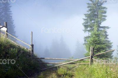 evening mountain plateau landscape (Carpathian, Ukraine)