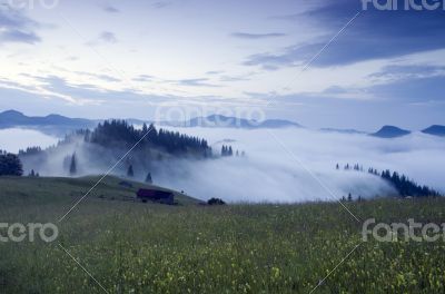 evening mountain plateau landscape (Carpathian, Ukraine)