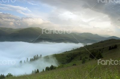 evening mountain plateau landscape (Carpathian, Ukraine)