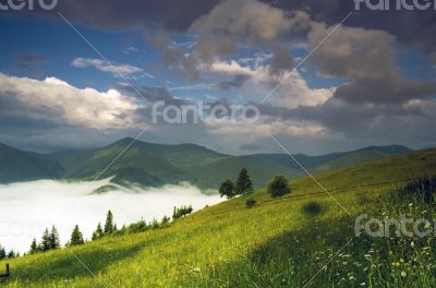 evening mountain plateau landscape (Carpathian, Ukraine)