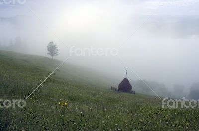 evening mountain plateau landscape (Carpathian, Ukraine)