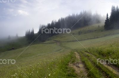 evening mountain plateau landscape (Carpathian, Ukraine)