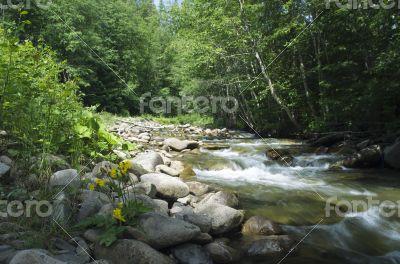 mountain river. Beauty wild nature landscape