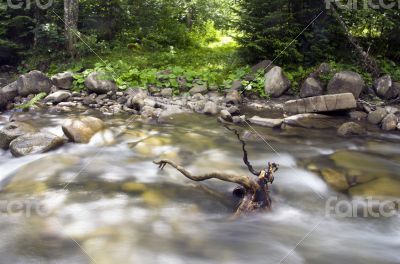 mountain river. Beauty wild nature landscape