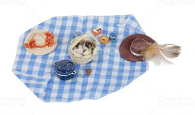 Picnic Food Laid out on Gingham Blanket