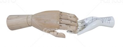 Wooden Hand and Palm Reading Model