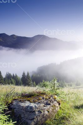 evening mountain plateau landscape (Carpathian, Ukraine) 