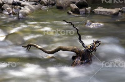 mountain river. Beauty wild nature landscape