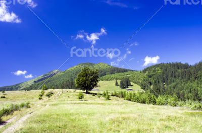 evening mountain plateau landscape (Carpathian, Ukraine)