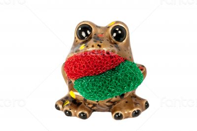 Frog Scrubby Holder