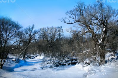 Beautiful winter landscape