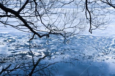 Coast  winter river