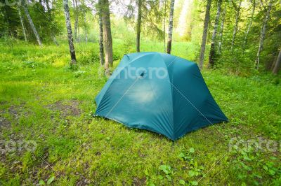 Tourist tent on glade in wood