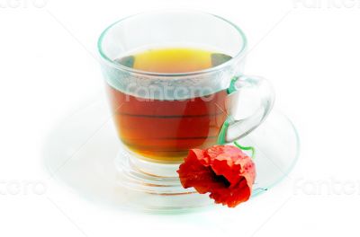 Poppy in glass cup on white table 