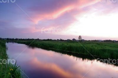 Spring landscape with yellow flower on hill and majestic sunset 