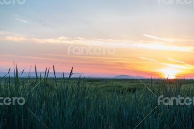 Western Canadian Sunset