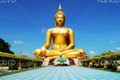 A Golden Buddha Image