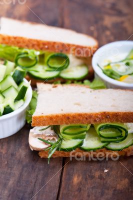 fresh vegetarian sandwich with garlic cheese dip salad