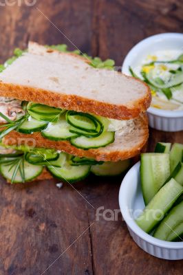 fresh vegetarian sandwich with garlic cheese dip salad