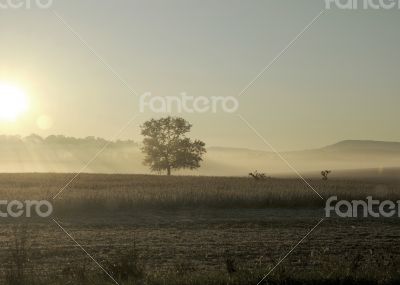 Rural Sunrise