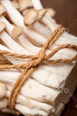 fresh wild mushrooms fresh wild mushrooms