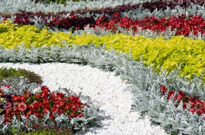 flower exhibition