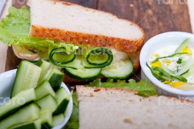 fresh vegetarian sandwich with garlic cheese dip salad