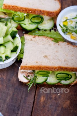 fresh vegetarian sandwich with garlic cheese dip salad