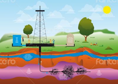 Shale gas Shale gas