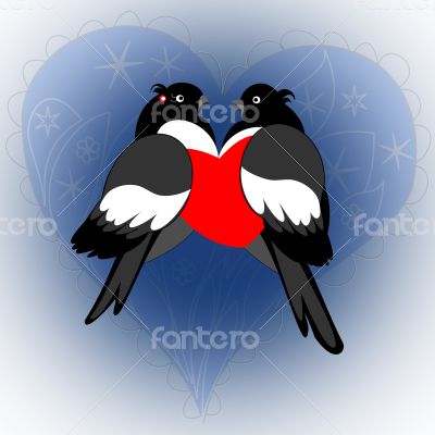A pair of lovers bullfinches with heart