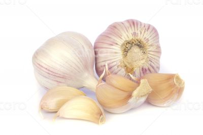 Garlic bulb and cloves on white background
