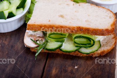 fresh vegetarian sandwich with garlic cheese dip salad fresh vegetarian sandwich with garlic cheese dip salad
