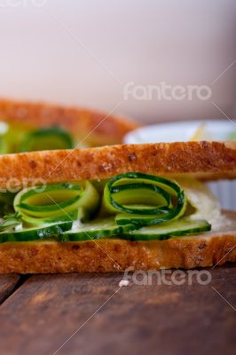 fresh vegetarian sandwich with garlic cheese dip salad