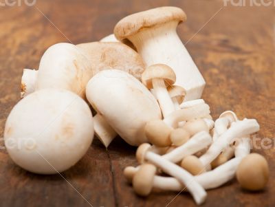 fresh wild mushrooms fresh wild mushrooms