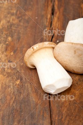 fresh wild mushrooms fresh wild mushrooms