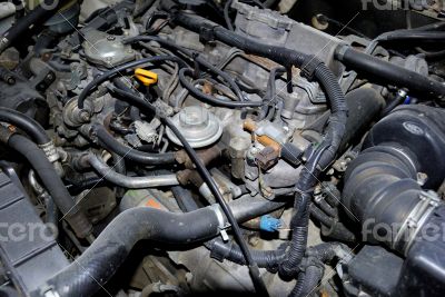 diesel engine diesel engine