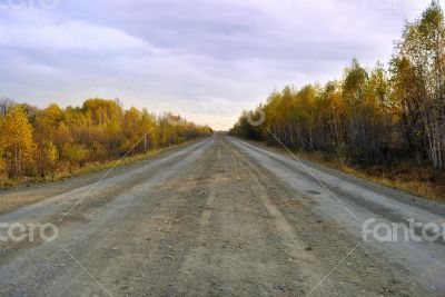 Autumn road