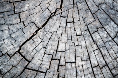 Old wood texture black and white