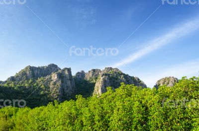 Mountain and mangrove forest