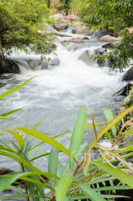 Waterfall on the mountain