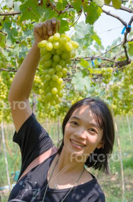 Women in vineyard